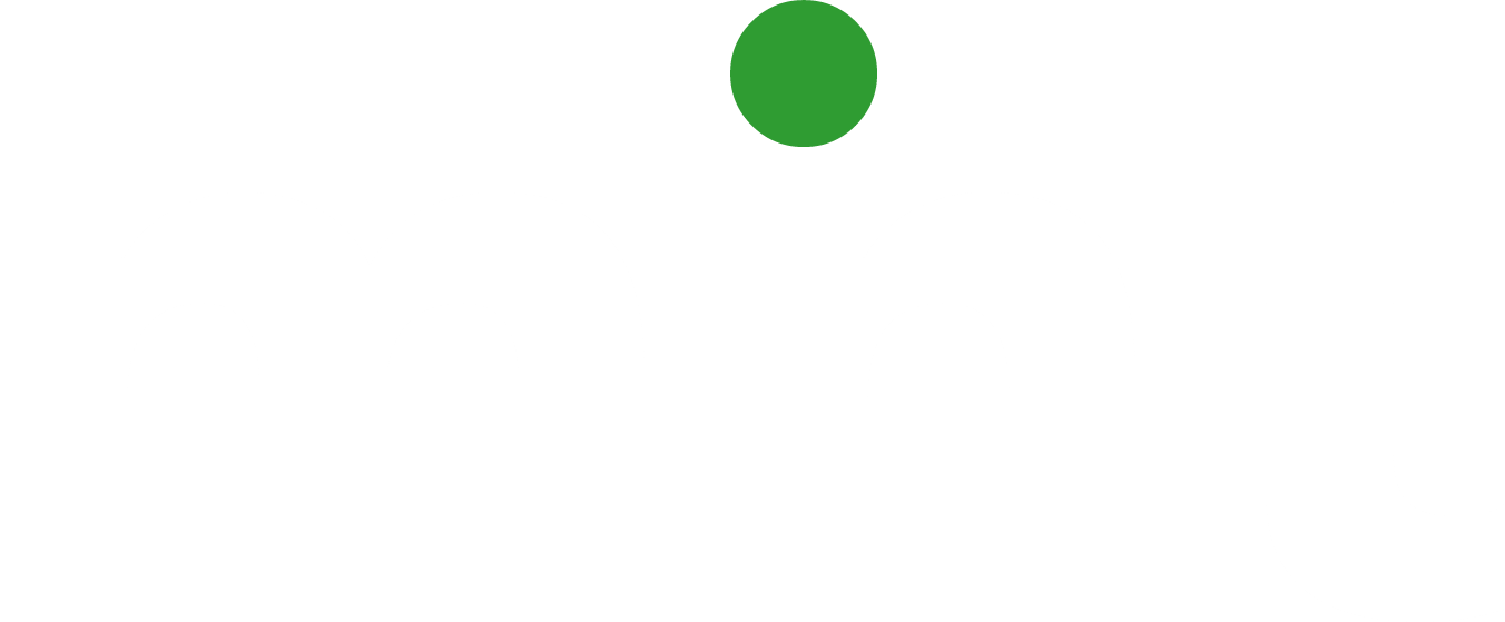 Mint Media